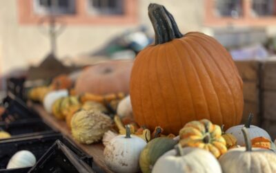 Ökumenischer Gottesdienst zum Bauernmarkt